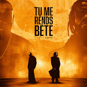 TU ME RENDS BÊTE cover art
