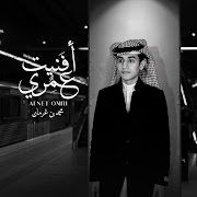 أفنيت عمري