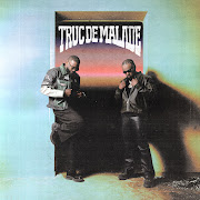 Truc de malade cover art
