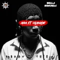 Ara (600M) (feat. Olamide)