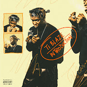 Introduction cover art