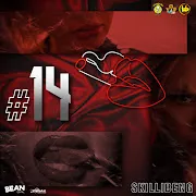 14 cover art