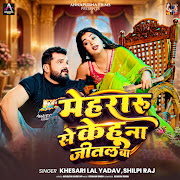 मेहरारू से केहू ना जीतल बा cover art