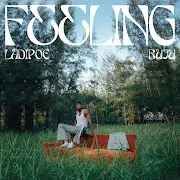 Feeling cover art
