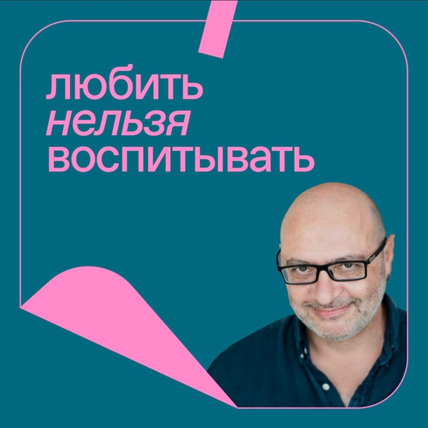 Любить нельзя воспитывать cover art