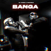 BANGA (OGBAFIA) (feat. Portable) cover art