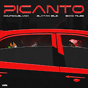 PICANTO (feat. Zlatan & ECko Miles) cover art