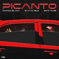 PICANTO (feat. Zlatan & ECko Miles)