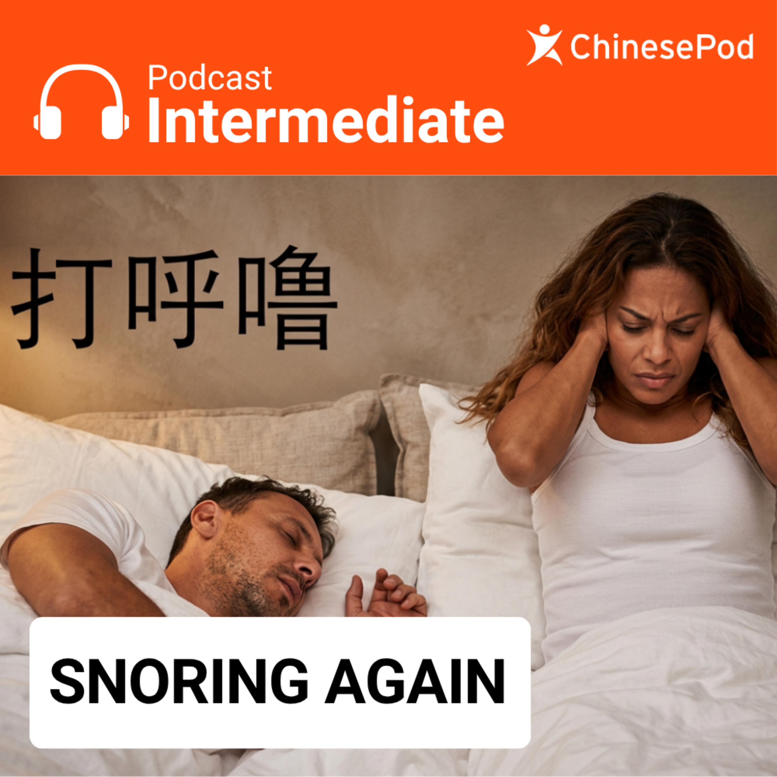 Intermediate | Snoring Again cover art