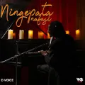 Ningepata Nafasi