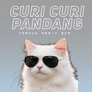 CURI CURI PANDANG (Remix) cover art