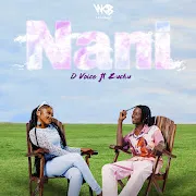 Nani (feat. Zuchu) cover art