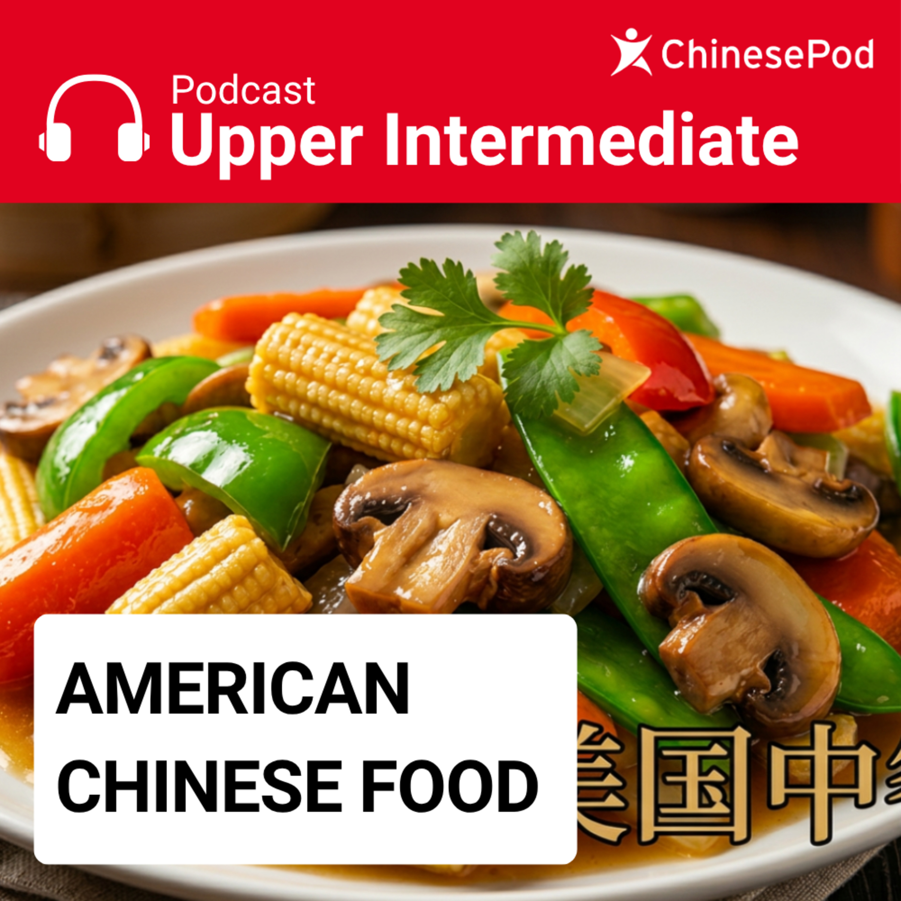 Upper-intermediate | American Chinese Food
