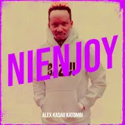 NIENJOY cover art
