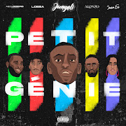 Petit génie (feat. Abou Debeing & Lossa) cover art