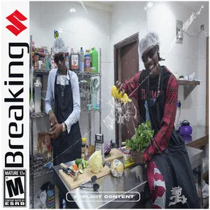 Breaking cover art
