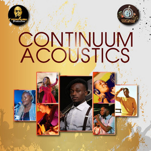 Continuum Acoustics Instrumentals