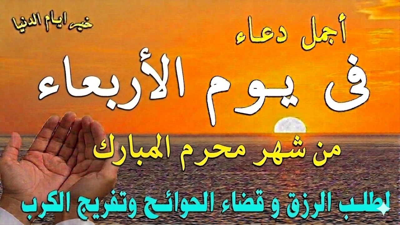 تلاوات وطمأنينة | Recitations & Tranquility
