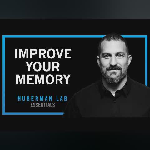 Understand & Improve Memory Using Science-Based Tools | Huberman Lab Essentials cover art