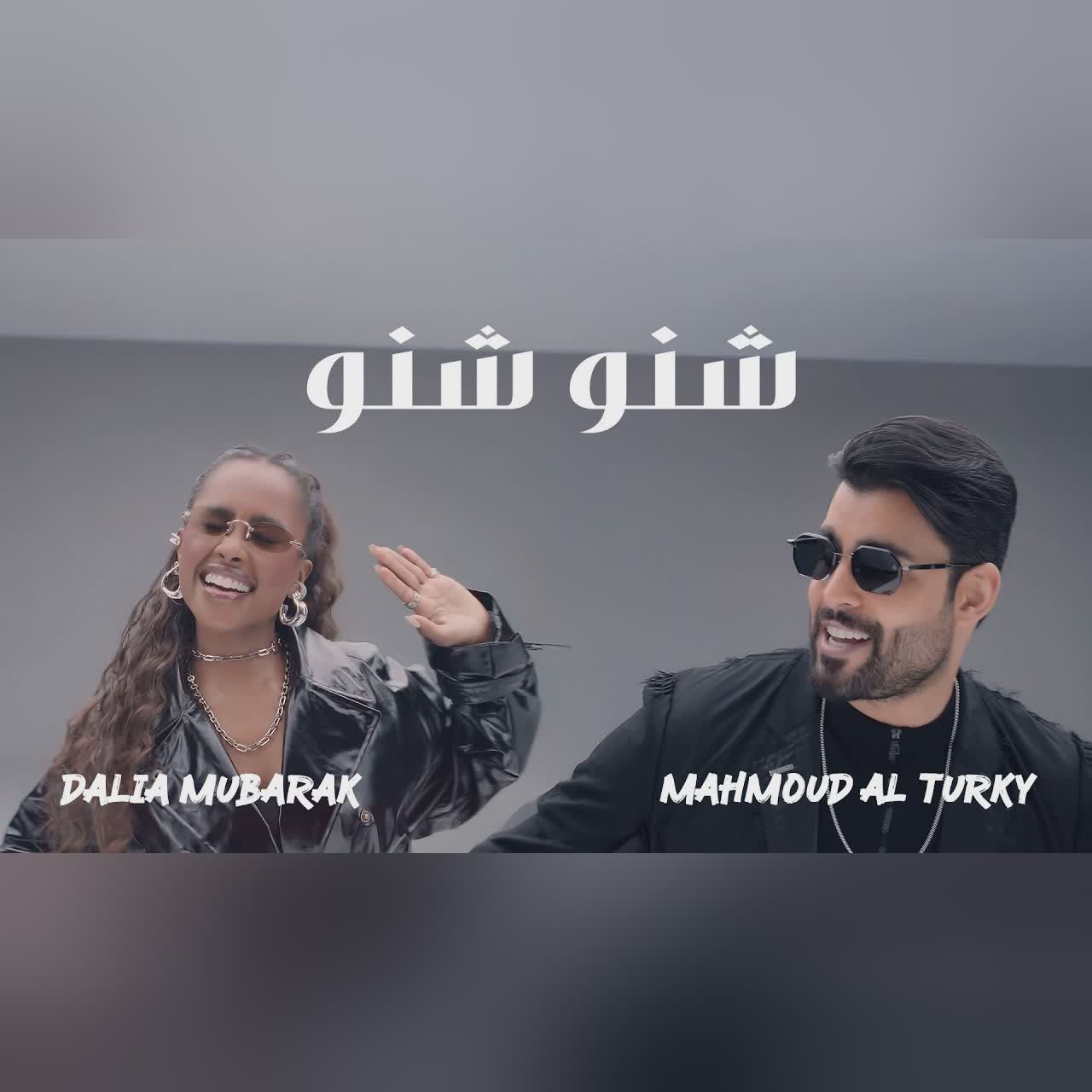 شنو شنو cover art