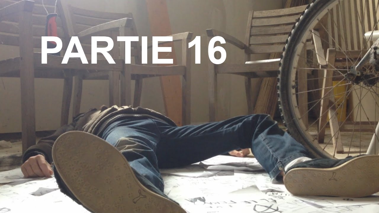 Partie 16 signes D cover art