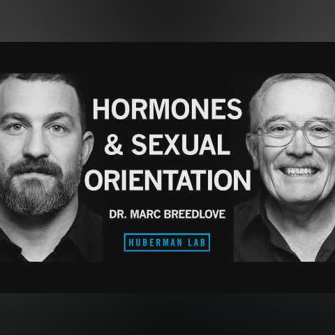 How Hormones Shape Sexual Orientation & Behavior | Dr. Marc Breedlove cover art