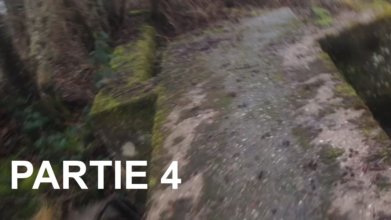 Partie 4 Signes D cover art