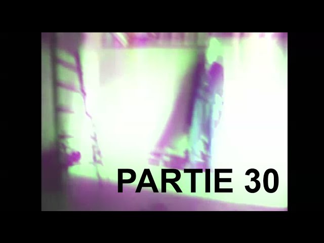 Partie 30 Signes D cover art