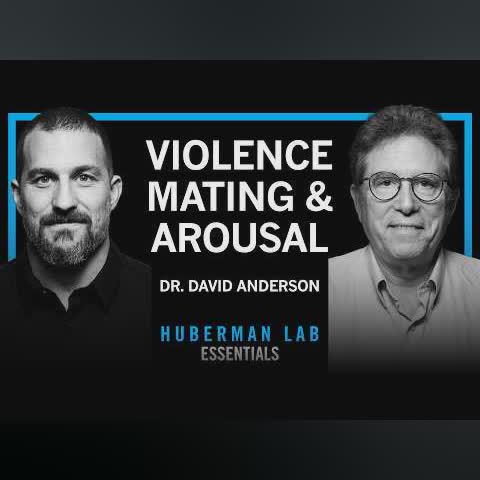 Essentials: The Biology of Aggression, Mating & Arousal | Dr. David Anderson cover art