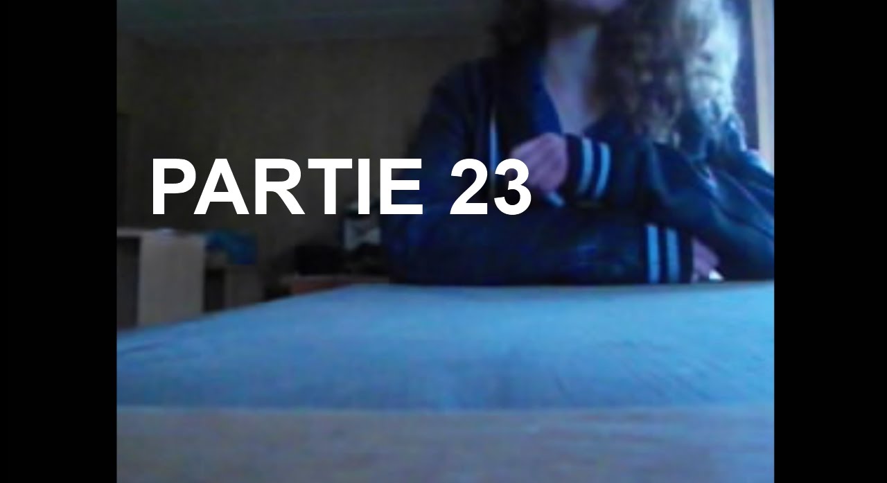Partie 23 Signes D cover art