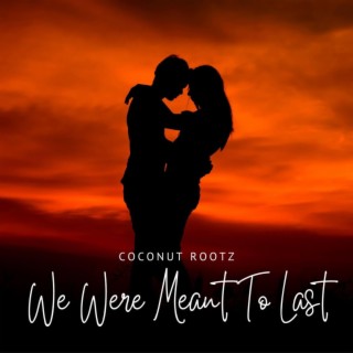We Were Meant To Last cover art
