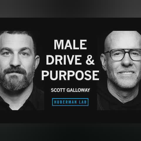 Male Roles, Obligations and Options for Building a Fulfilling Life | Scott Galloway cover art