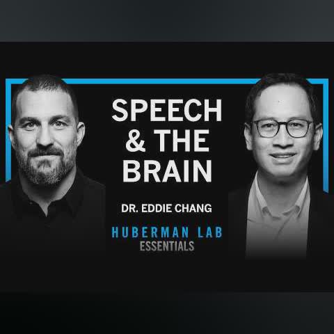 Essentials: The Science of Learning & Speaking Languages | Dr. Eddie Chang cover art