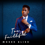 Too Faithful cover art