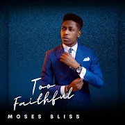 Too Faithful cover art