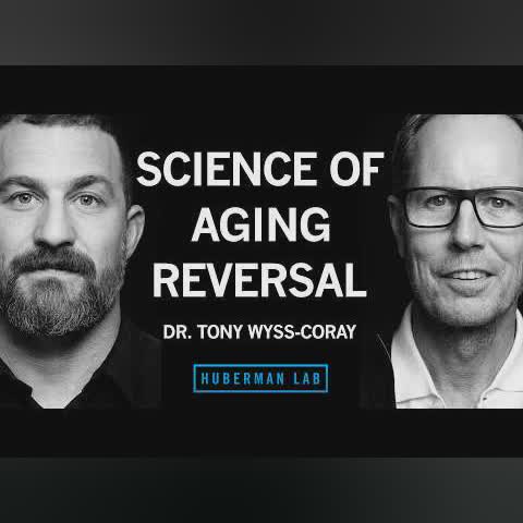 Restore Youthfulness & Vitality to the Aging Brain & Body | Dr. Tony Wyss-Coray cover art