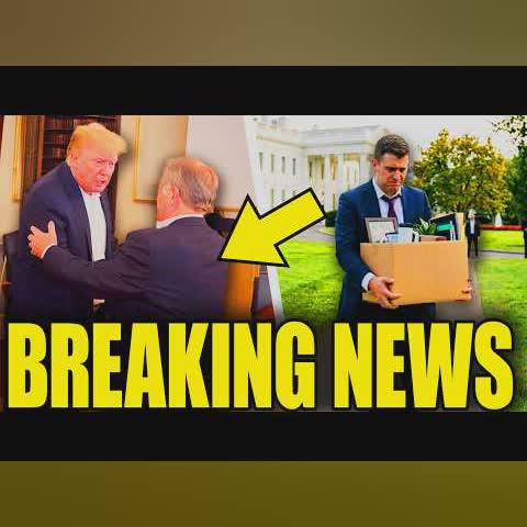 Trump Collapses As Mass Resignation Ends Everything cover art