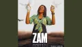 Zam