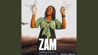 Zam cover art