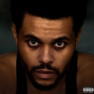 I Can't Fucking Sing cover art