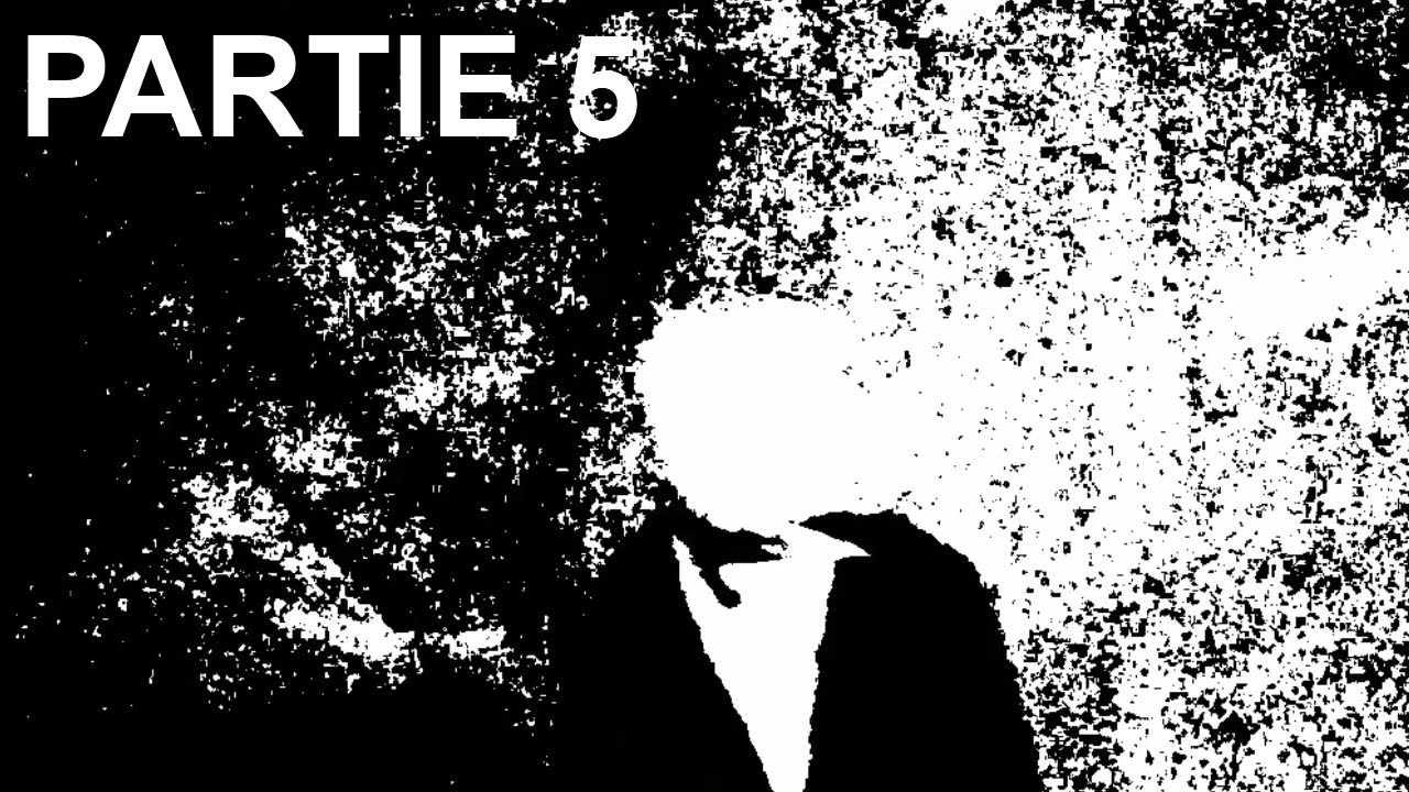 Partie 5 signes D cover art
