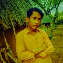 author avatar