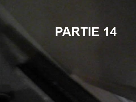 Partie 14 signes D cover art