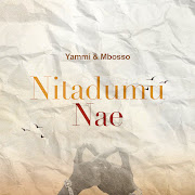 Nitadumu Nae cover art