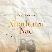 Nitadumu Nae cover art