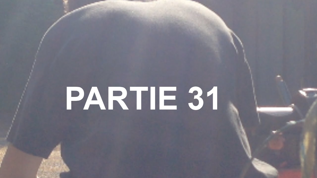 Partie 31 Signes D cover art
