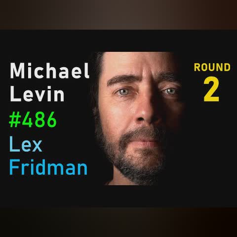 Michael Levin: Hidden Reality of Alien Intelligence & Biological Life | Lex Fridman Podcast #486