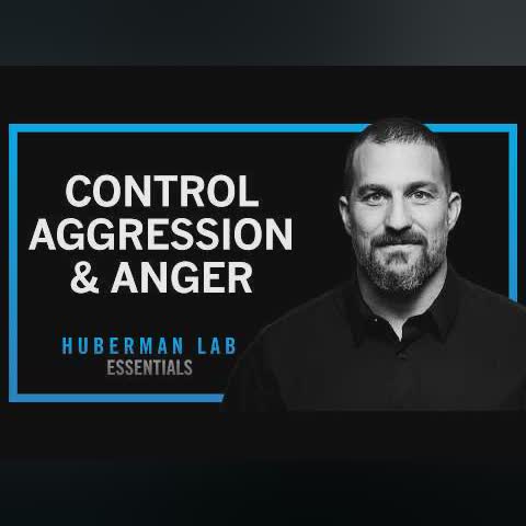 Understanding & Controlling Aggression | Huberman Lab Essentials