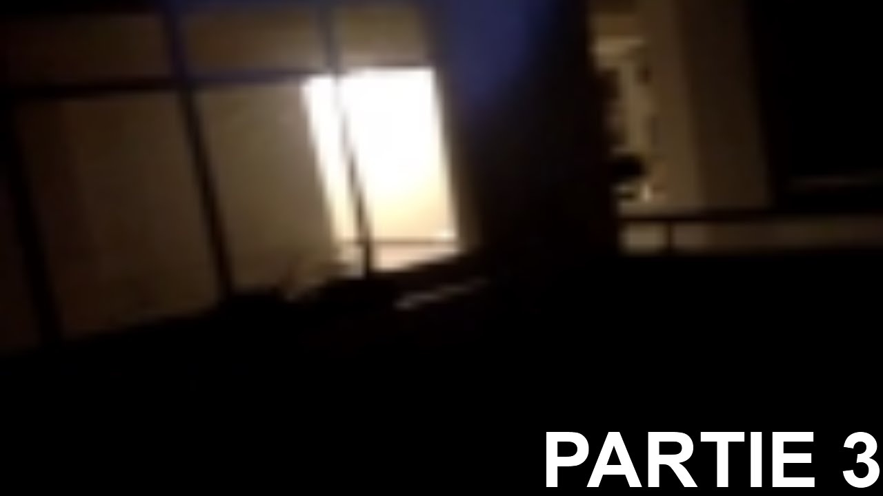 Partie 3 Signes D cover art