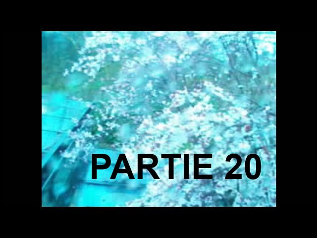 Partie 20 Signes D cover art